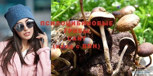 дмт Алексин