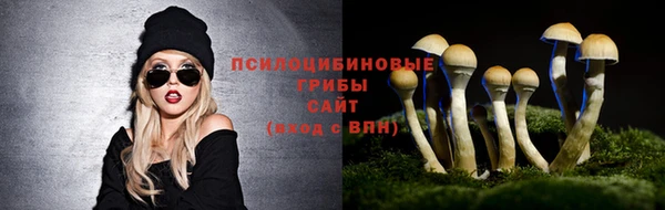твердый Алзамай