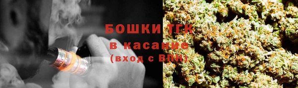 дмт Алексин